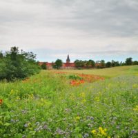 Kloster Wöltingerode / Vienenburg