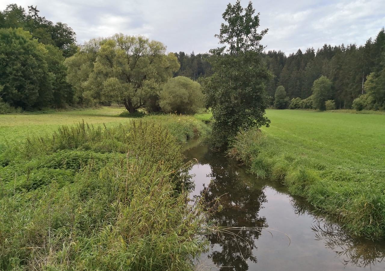 Im schönen Tal der Fehla