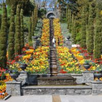 An der Blumeninstel Mainau