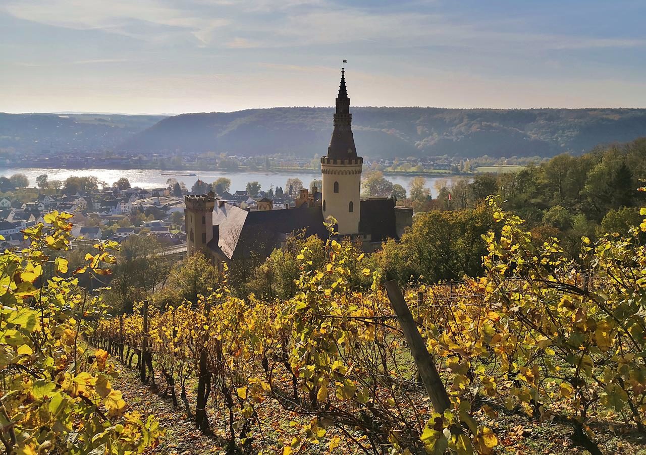 Am Schloss Arenfels