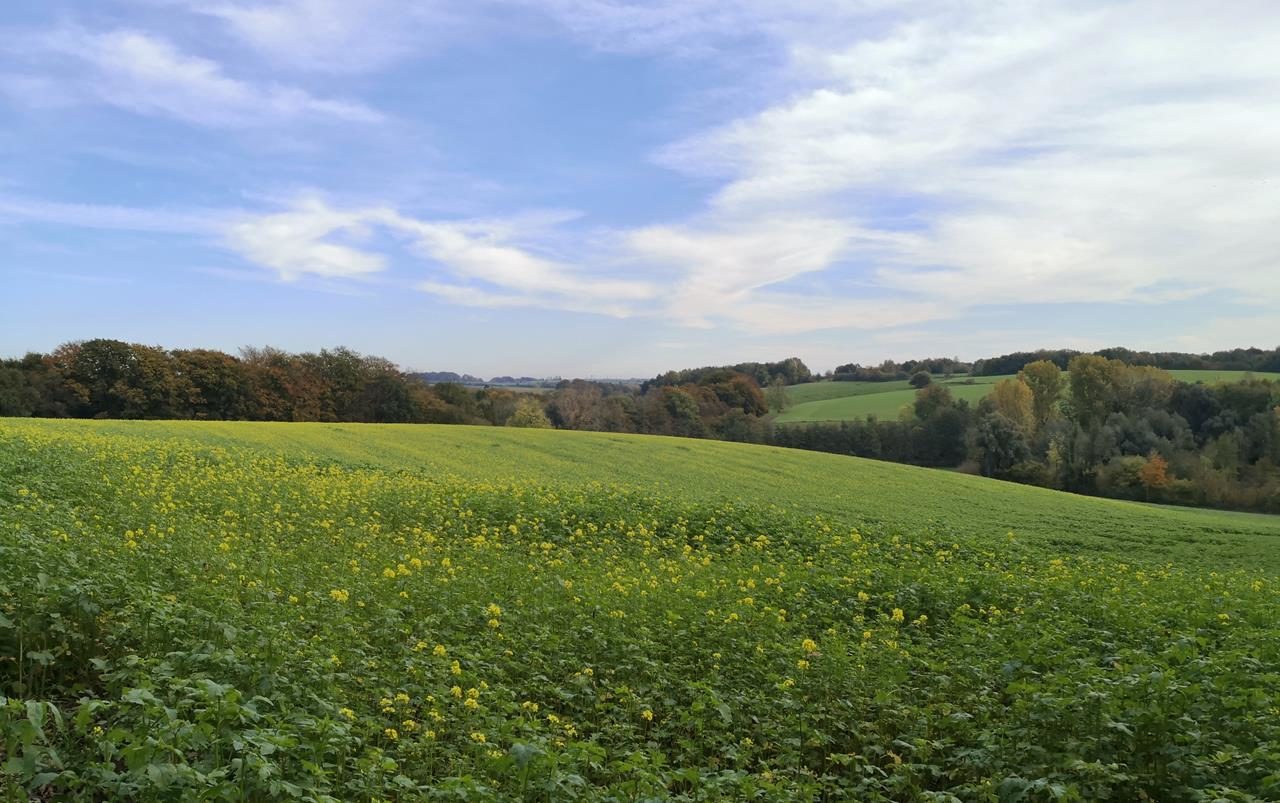 Ratingen, Homberg und Metzkausen