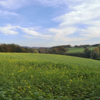 Ratingen, Homberg und Metzkausen