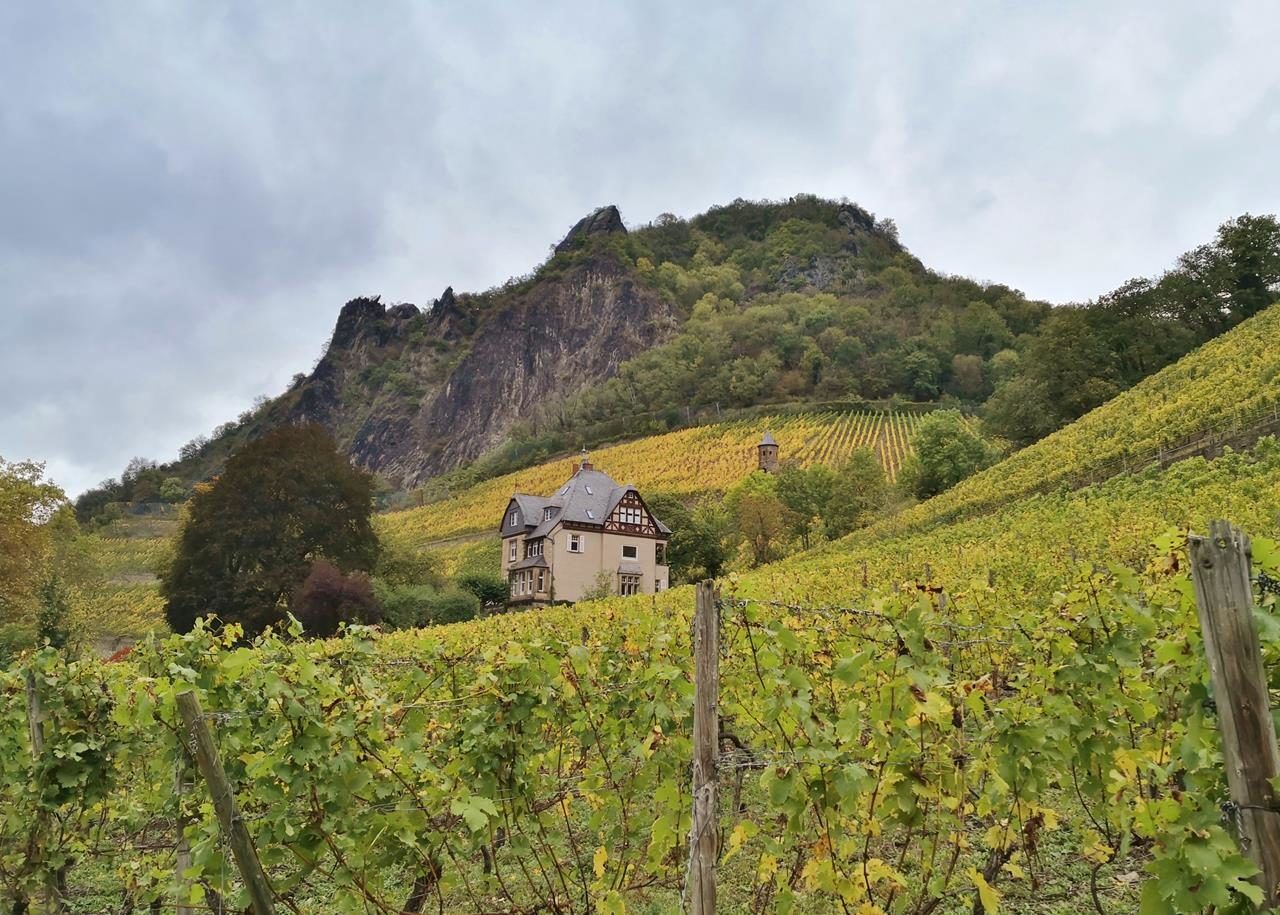 Herbst im Siebengebirge