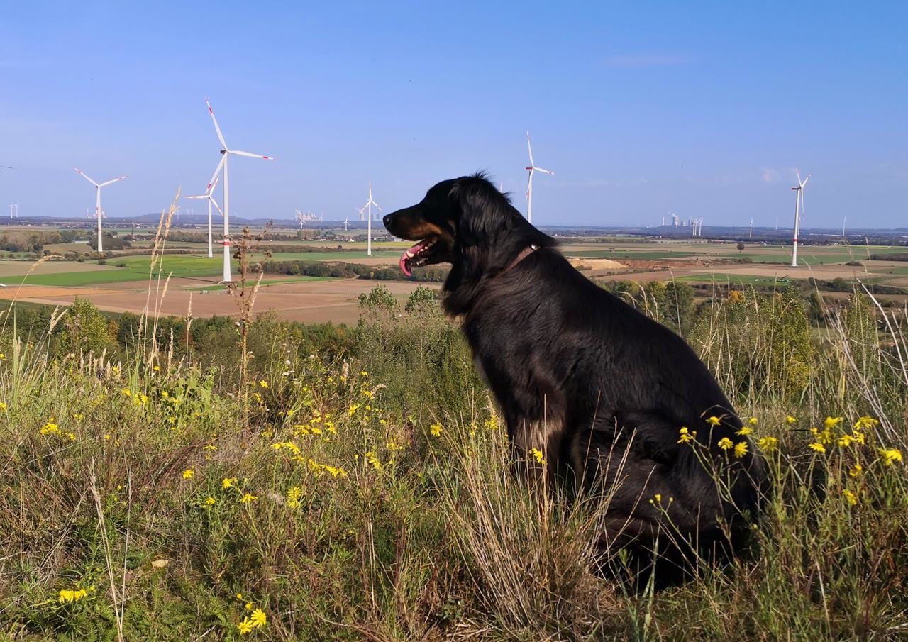 Traumwetter auf der Sophienhöhe