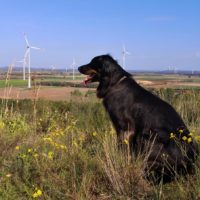 Traumwetter auf der Sophienhöhe