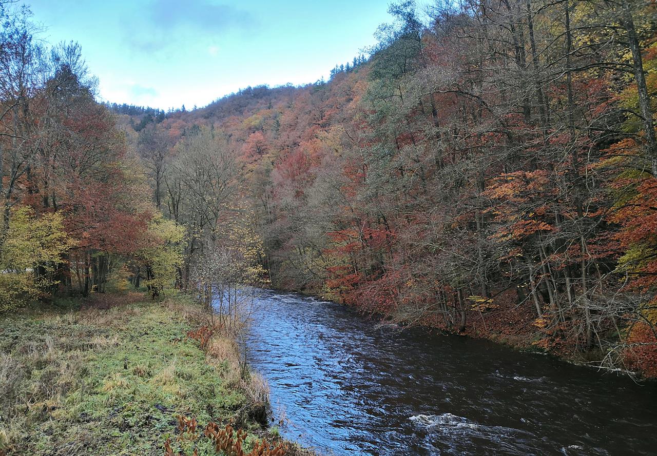 Herbstfarben an der Rur