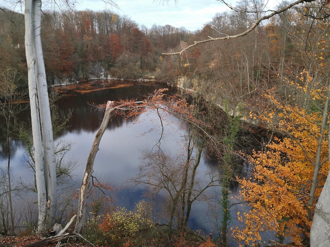 Oberbusch und Blauer See