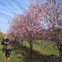 Frühling in Zeiten von Corona