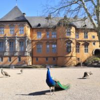 Hoppbruch, Niers, Schloss Rheydt