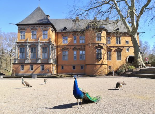 Hoppbruch, Niers, Schloss Rheydt