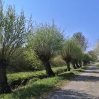 Zur Quelle des Jüchener Baches