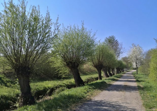 Zur Quelle des Jüchener Baches