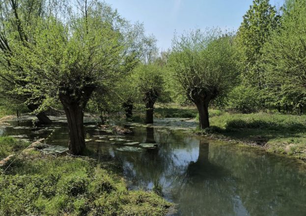 Auf zur Niersquelle