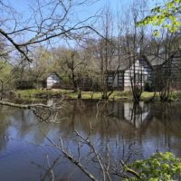 Durch den Birgeler Urwald