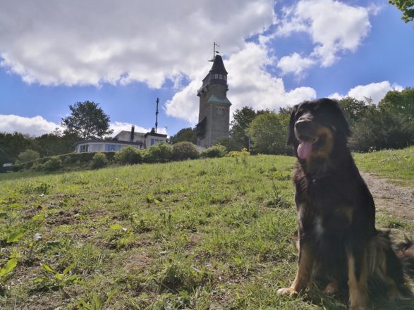 Hoch zum Danzturm