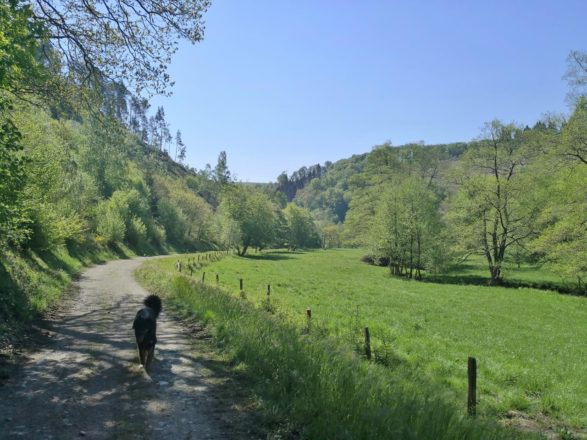 Vier-Täler-Runde im Frühling