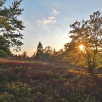 Traumwetter auf dem Kahlen Asten