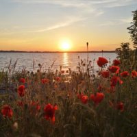 Sonnenuntergang in Gager