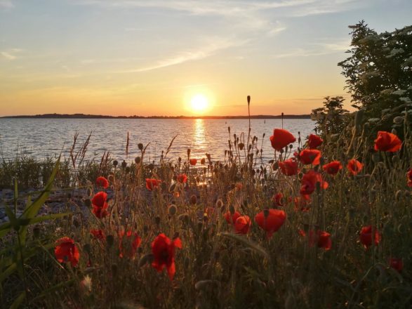 Sonnenuntergang in Gager