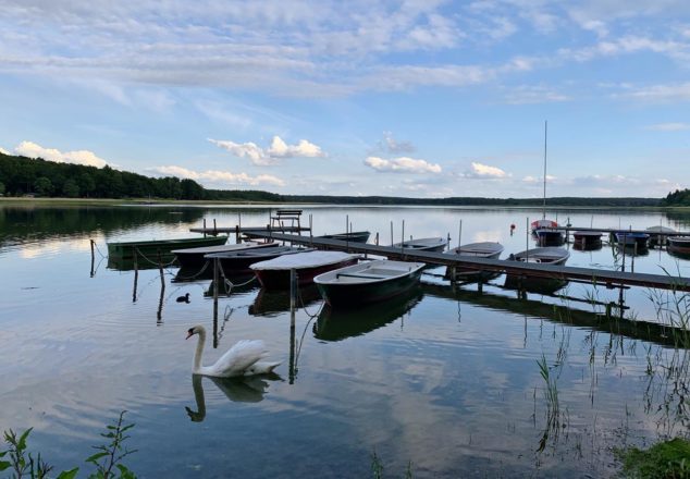 Am Neuklostersee