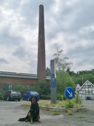 Ins Grüne ab Museum Morsbroich