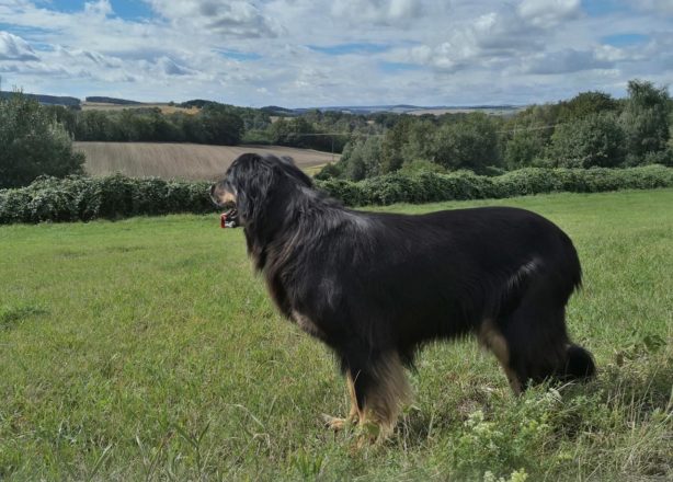 Zwischen Netzschkau und Greiz