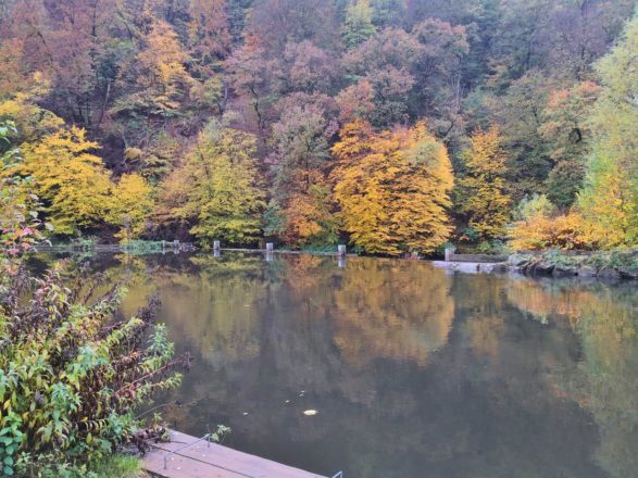 Wupperhänge im Herbstkleid