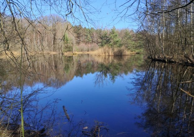 Wieder in der Ohligser Heide