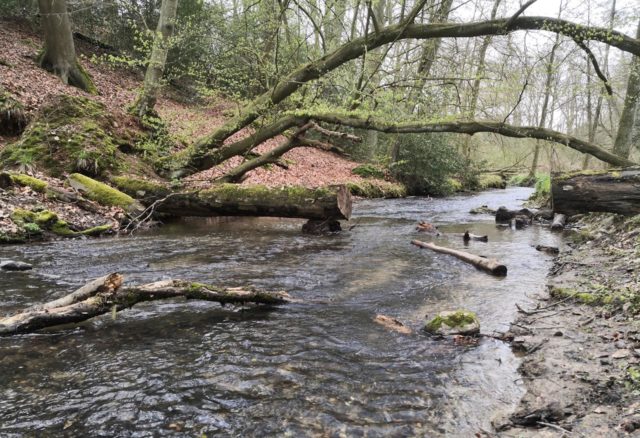 Von Knittkuhl ins Schwarzbachtal