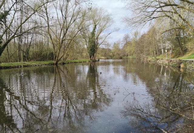 Zwischen Homberg und Metzkausen