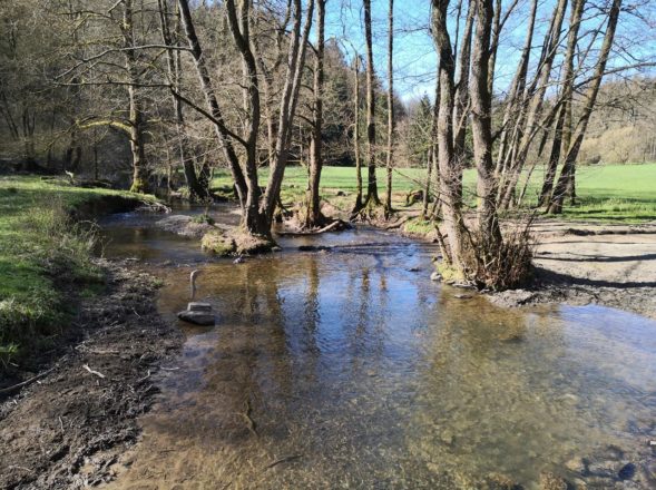 Wasserreiches Eifgenbachtal