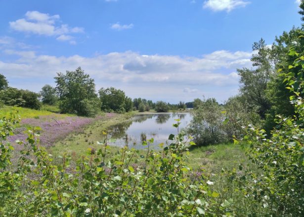 Rund um Haffen und Mehr