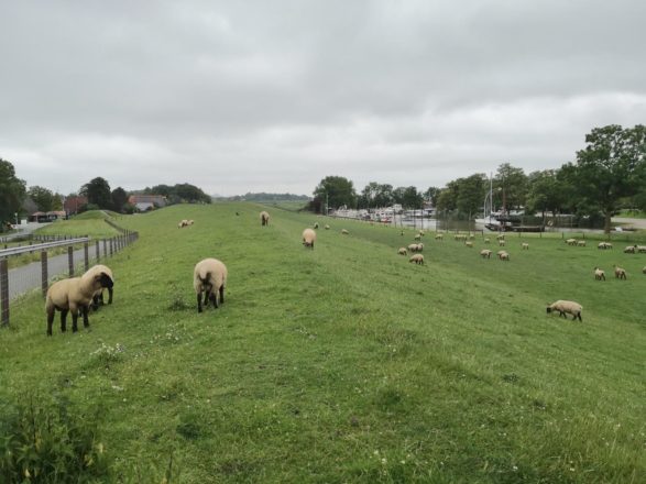 Die Weser: Unerreichbar