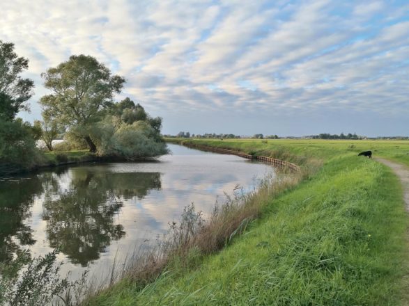 Am Veluwsche Wetering