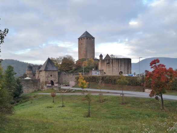 Von Burg Lichtenberg nach Kusel