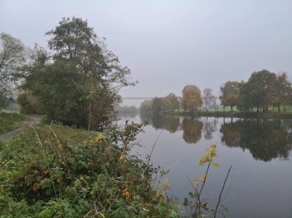 Herbst in der Mendener Ruhraue