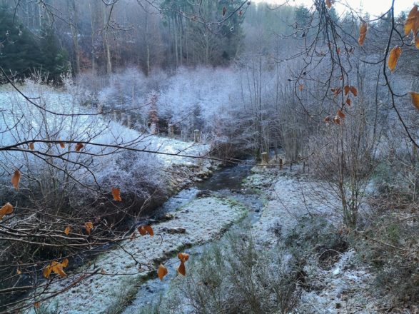 Von Simmerath ins Tiefenbachtal