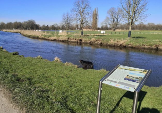 Rosenmontag an der Niers