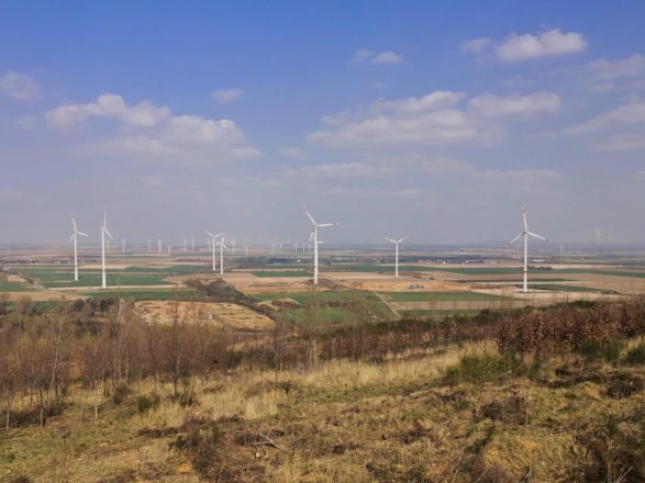 Windräder soweit das Auge reicht