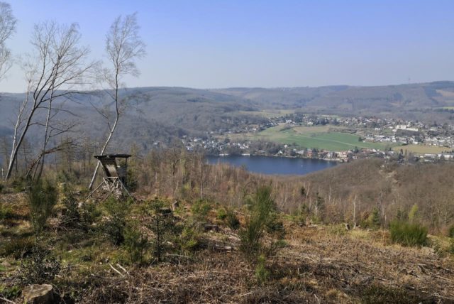 Grünkohl über Obermaubach