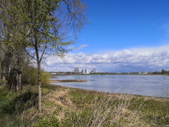 Sonne und Hagel am Rhein