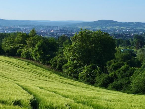 Nordrunde um Aschaffenburg