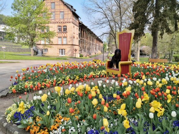 Spessart, Kinzig- und Maintal