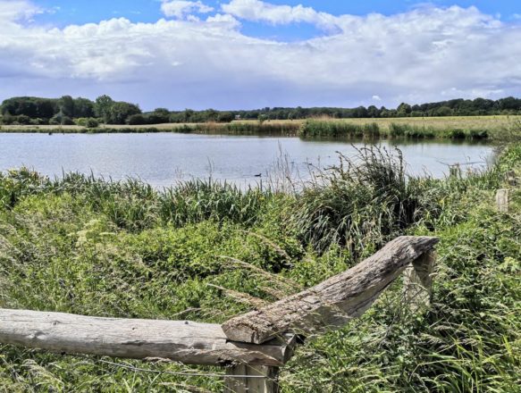 Lauersforter Wald und Schwafheimer Bruch