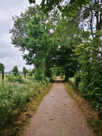 Lauersforter Wald und Schwafheimer Bruch