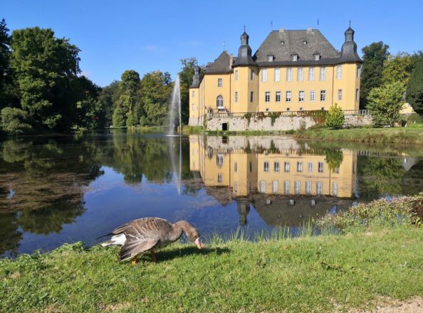 Bezauberndes Schloss Dyck