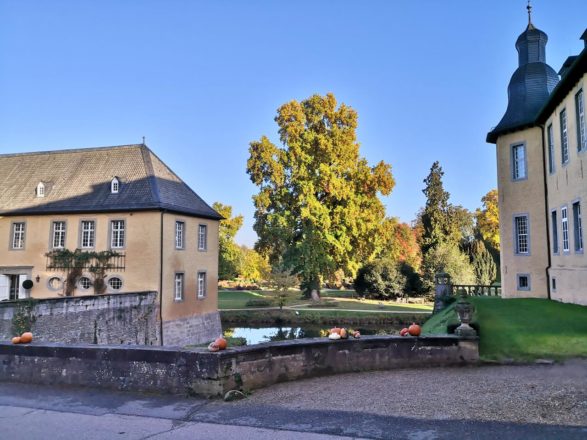 Herbst auf Schloss Dyck