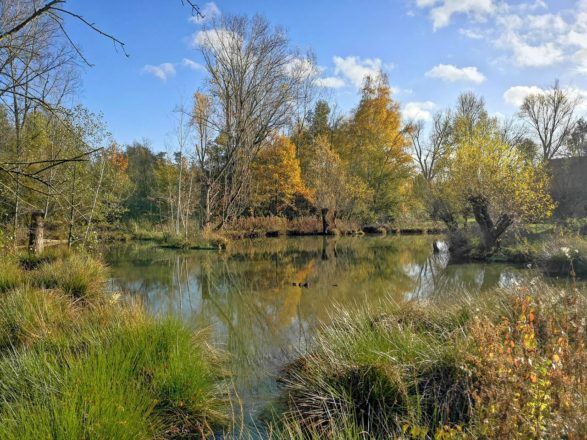 Hombroich im Herbst