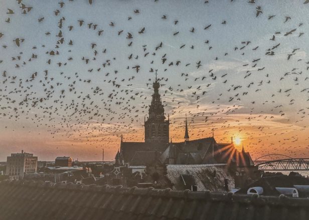 In der St. Stevenskerk