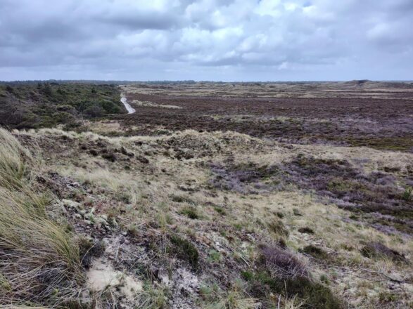 Wandern auf Römö